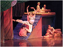 Профессиональные фотографии театральных и балетных постановок