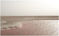 Эль-Джерид - огромное соленое озеро (шотт) |  Фотограии